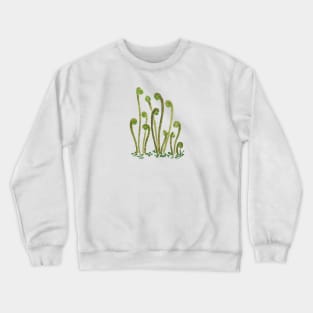 August 27th birthday flower Crewneck Sweatshirt